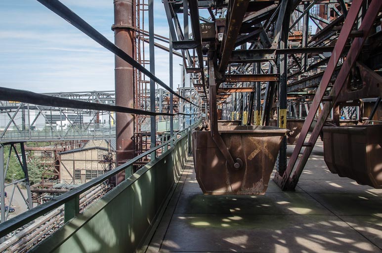 _D705647.jpg _D705647.jpg