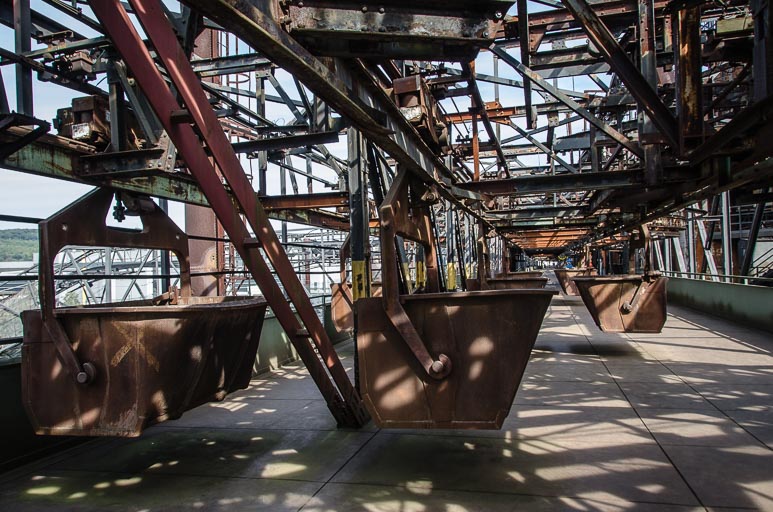 _D705649.jpg _D705649.jpg