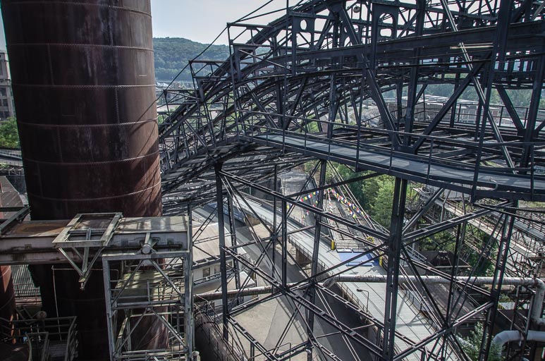 _D705659.jpg _D705659.jpg