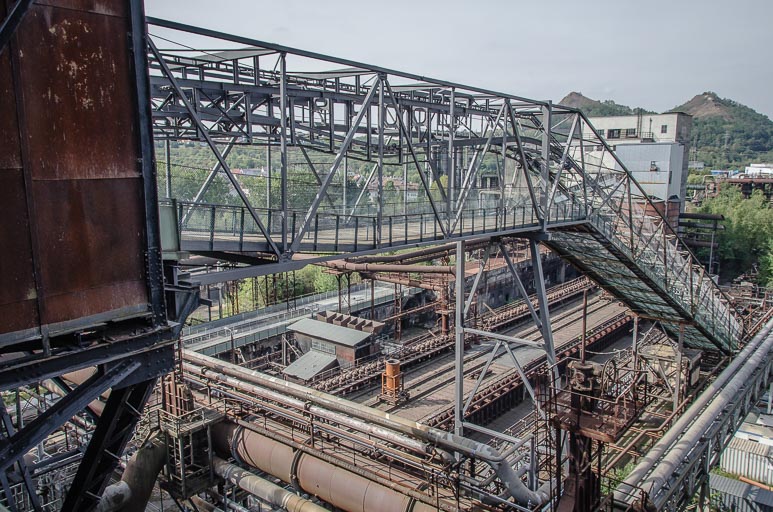 _D705675.jpg _D705675.jpg