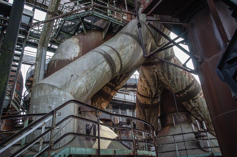 _D705678.jpg _D705678.jpg