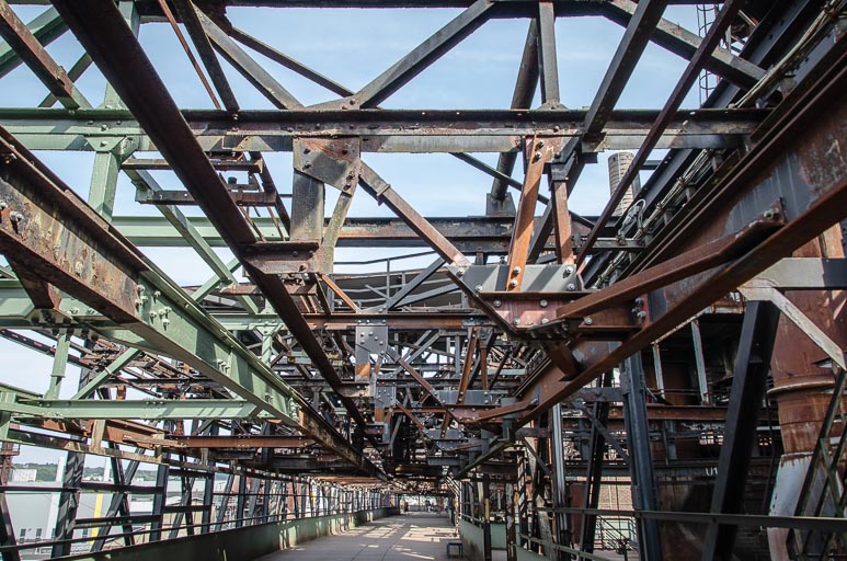 _D705682.jpg _D705682.jpg