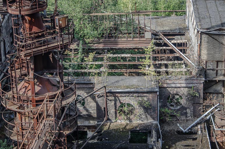 _D705693.jpg _D705693.jpg