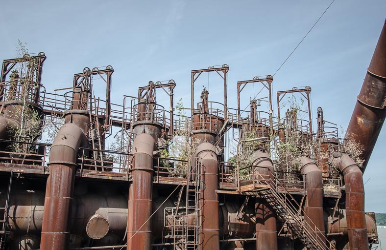 _D705695.jpg _D705695.jpg