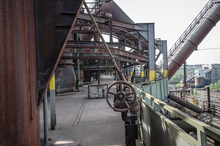 _D705699.jpg _D705699.jpg