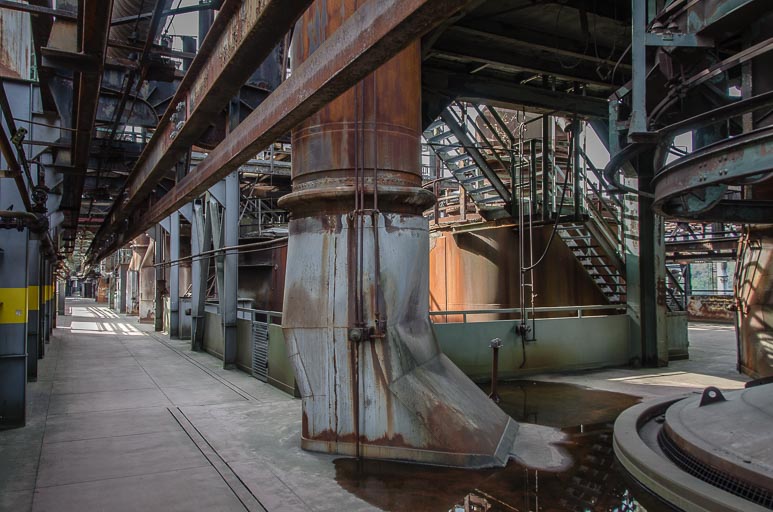 _D705708.jpg _D705708.jpg