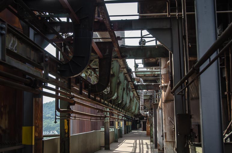 _D705713.jpg _D705713.jpg