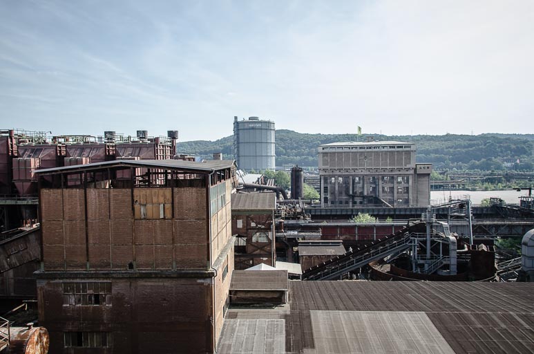 _D705721.jpg _D705721.jpg