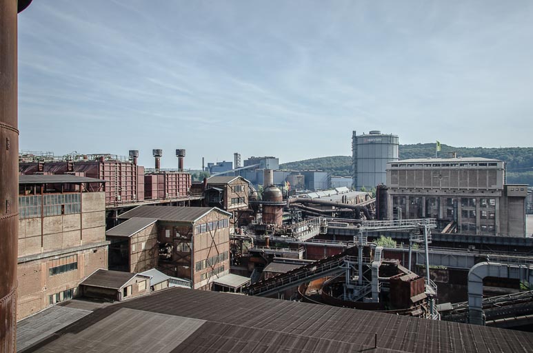 _D705725.jpg _D705725.jpg