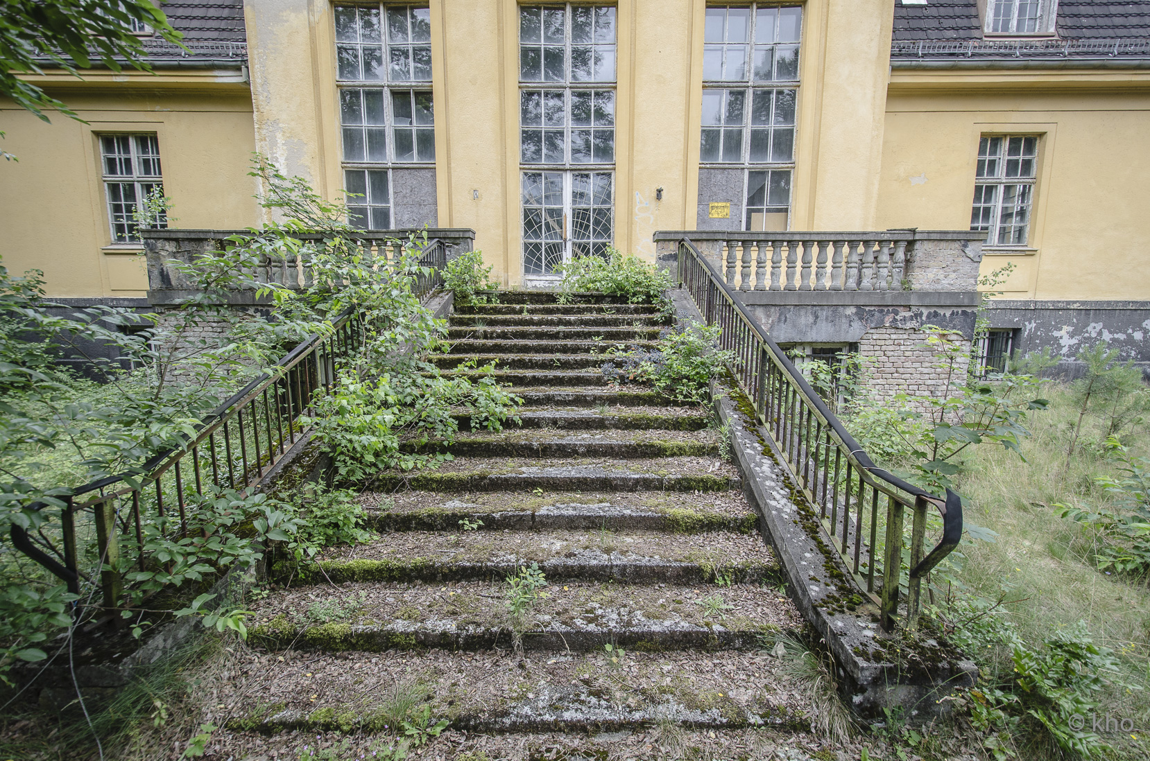 _D707910.jpg