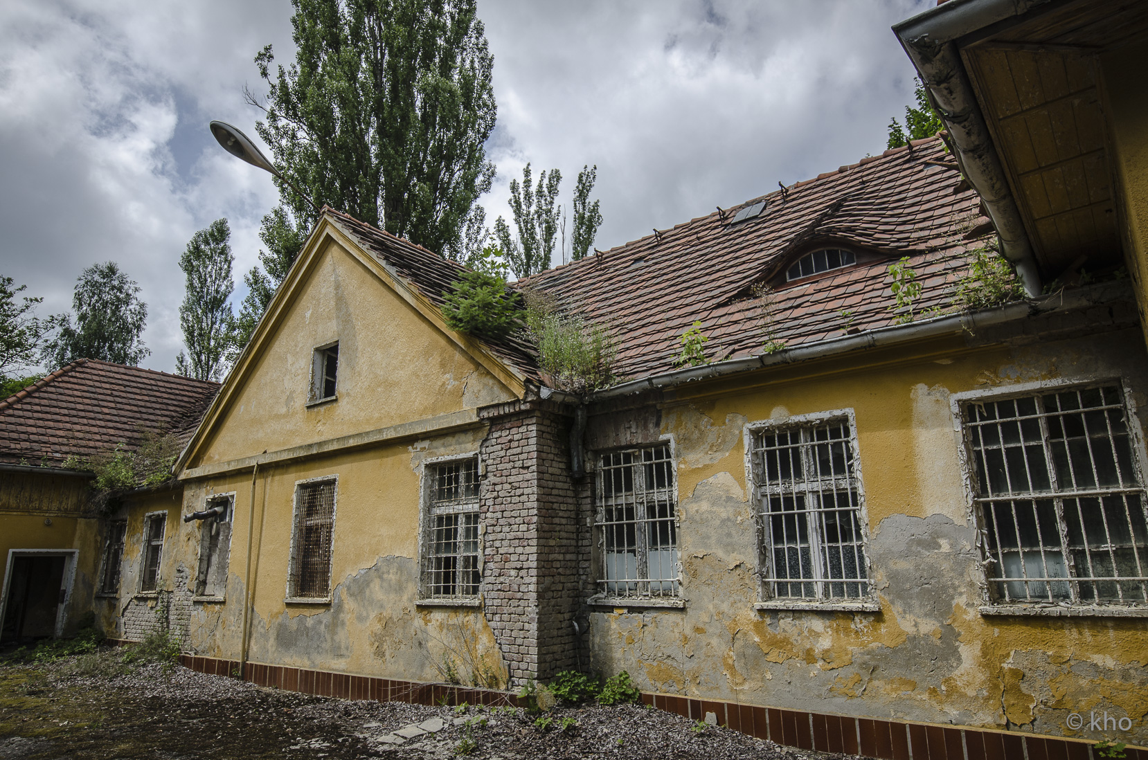 _D707976.jpg