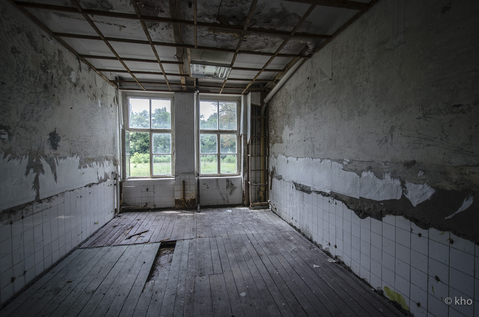_D707988.jpg
