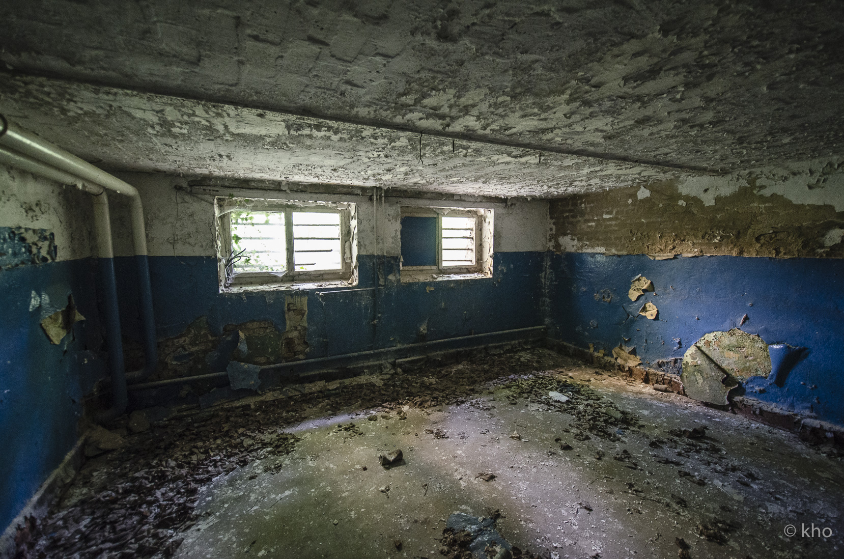 _D707996.jpg