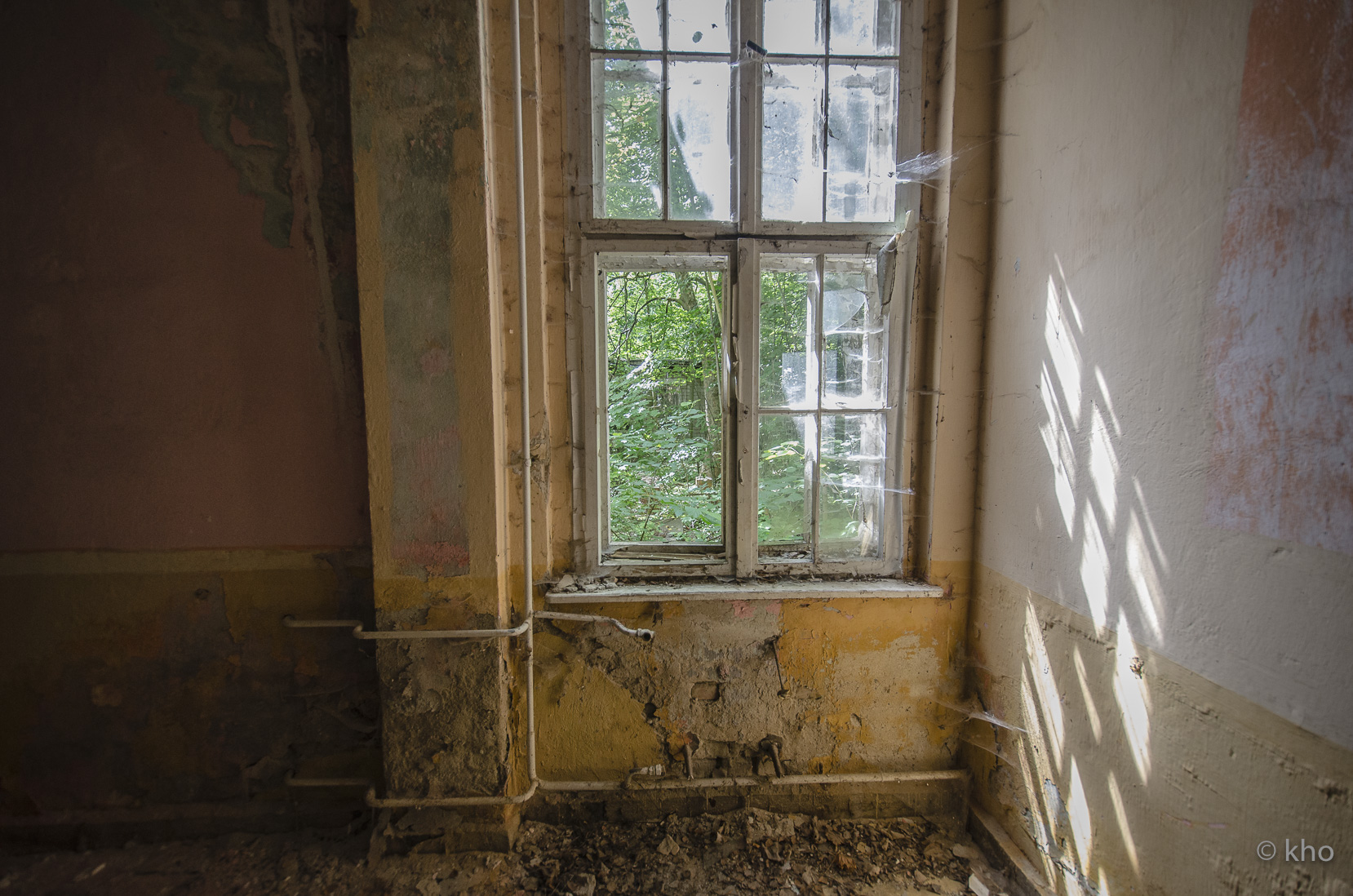 _D708036.jpg