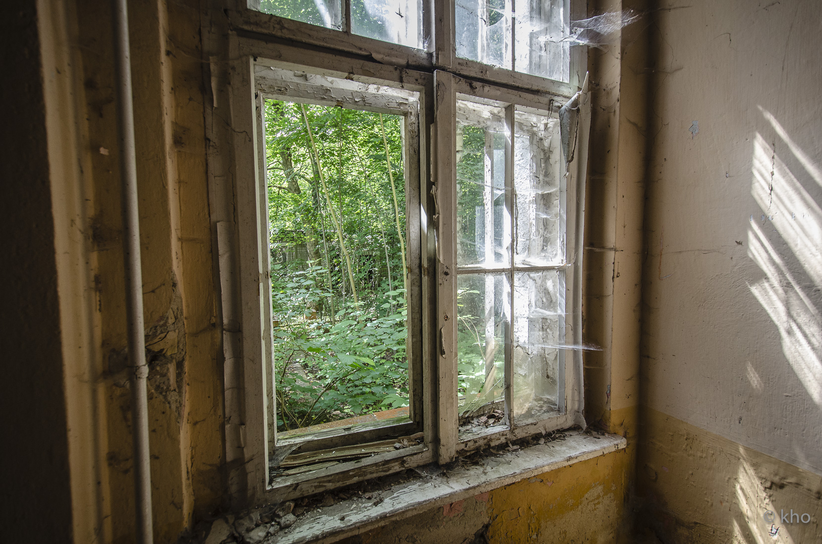 _D708038.jpg
