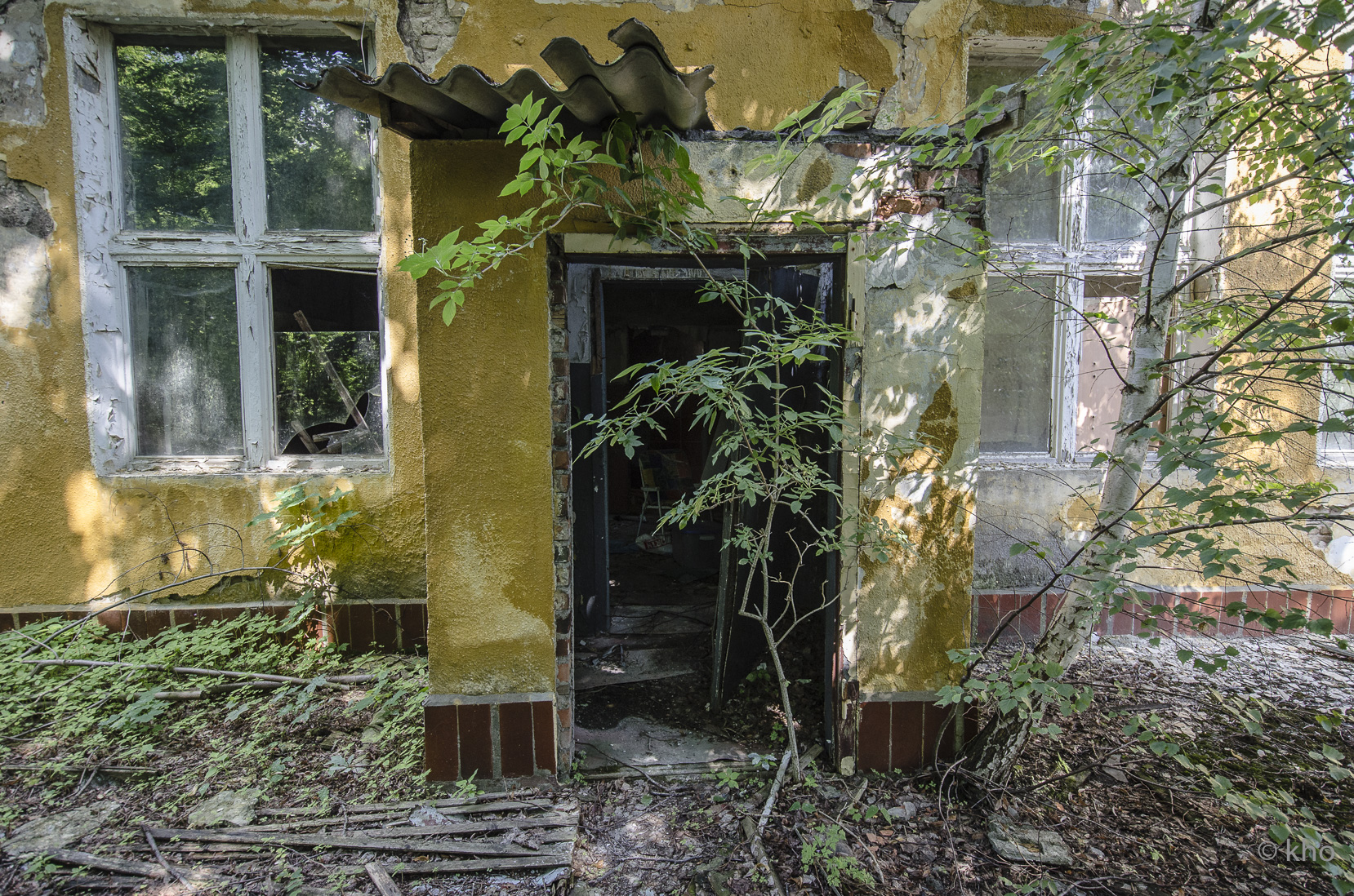 _D708115.jpg