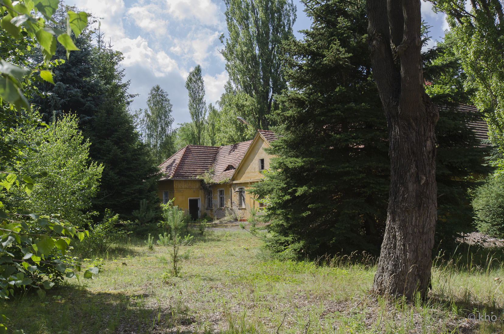 _D708119.jpg