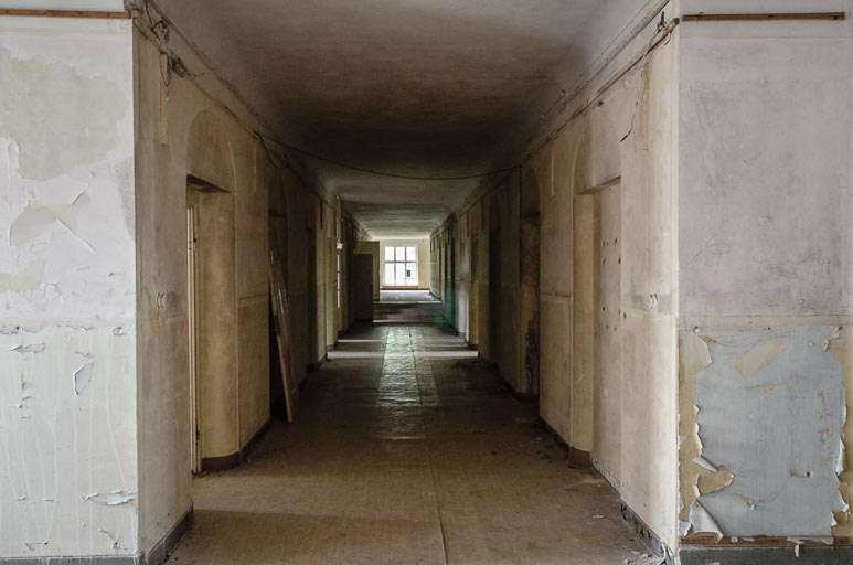 _D707729.jpg _D707729.jpg