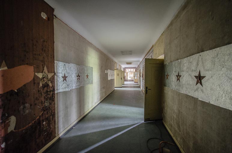 _D707735.jpg _D707735.jpg