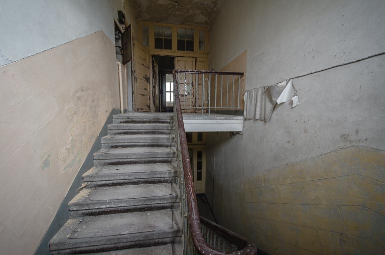 _D707739.jpg _D707739.jpg