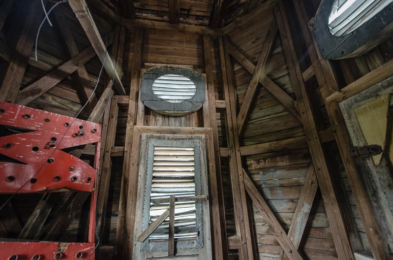 _D707781.jpg _D707781.jpg