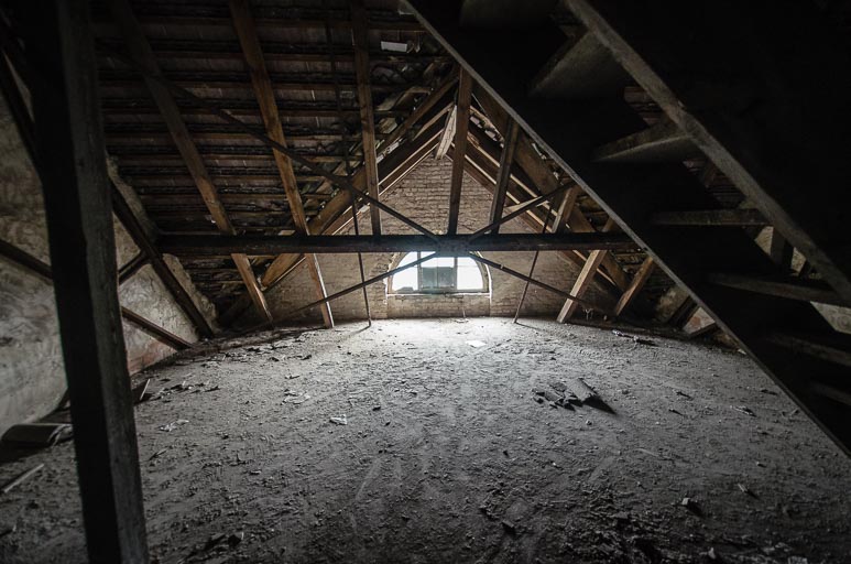 _D707787.jpg _D707787.jpg