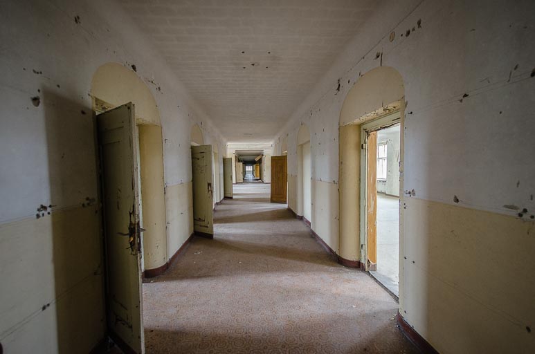 _D707789.jpg _D707789.jpg