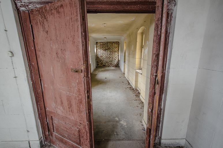 _D707799.jpg _D707799.jpg