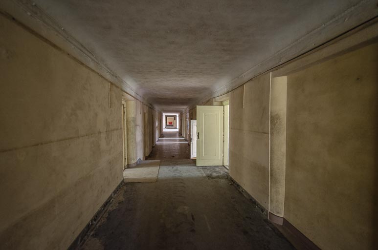 _D707822.jpg _D707822.jpg