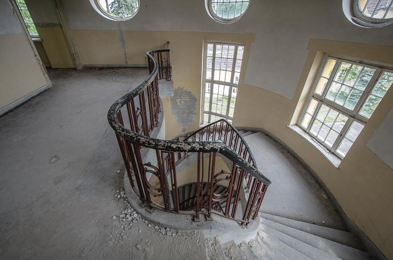 _D707837.jpg _D707837.jpg