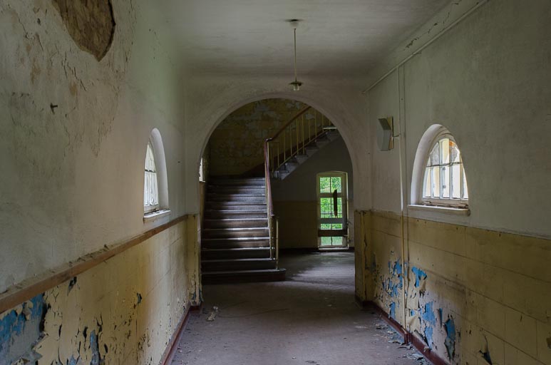 _D707884.jpg _D707884.jpg