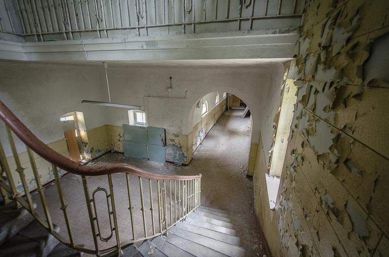 _D707892.jpg _D707892.jpg