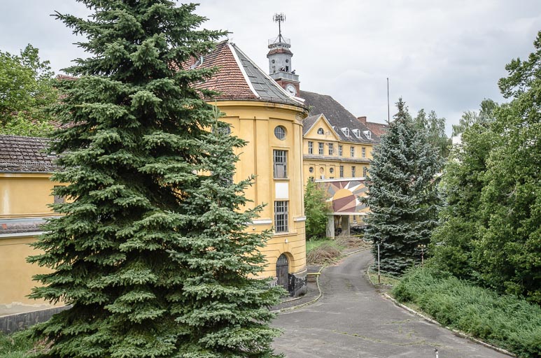 _D707895.jpg _D707895.jpg