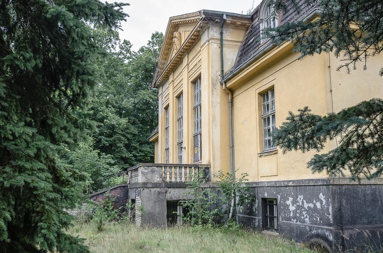 _D707909.jpg _D707909.jpg