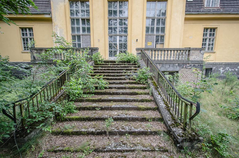 _D707910.jpg _D707910.jpg