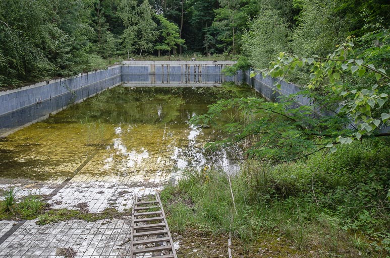 _D707919.jpg _D707919.jpg