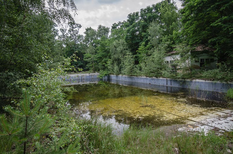 _D707924.jpg _D707924.jpg