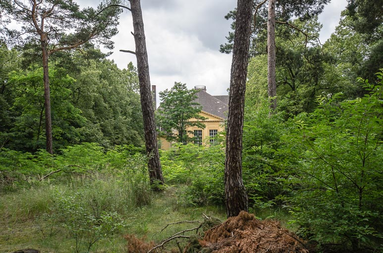 _D707939.jpg _D707939.jpg