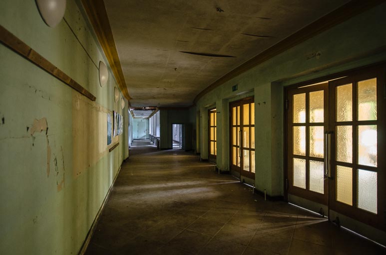 _D707950.jpg _D707950.jpg