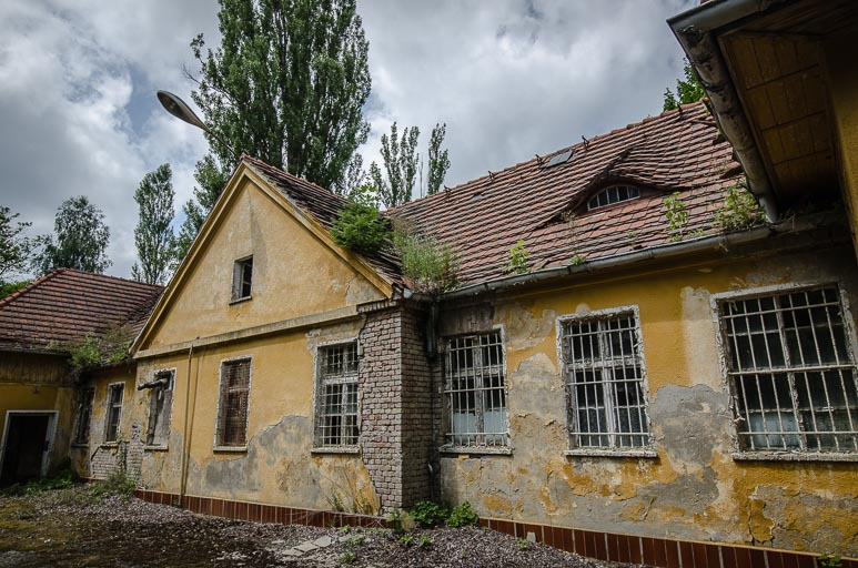 _D707976.jpg _D707976.jpg