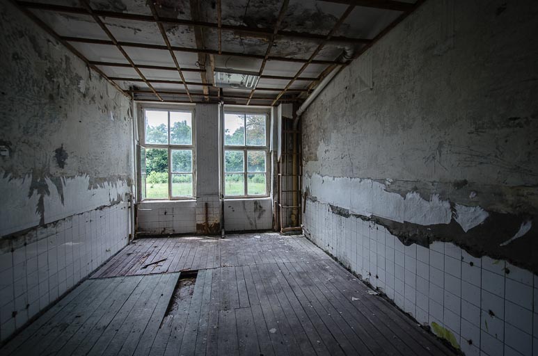 _D707988.jpg _D707988.jpg