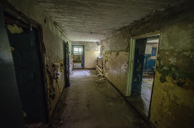 _D707995.jpg _D707995.jpg