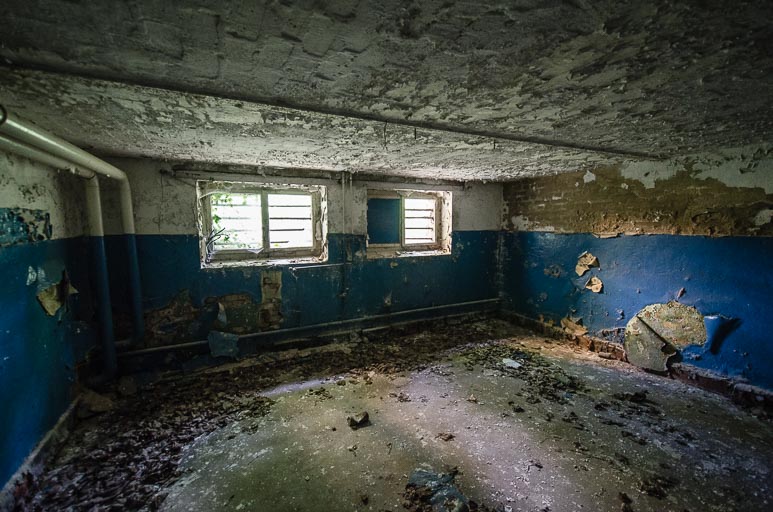 _D707996.jpg _D707996.jpg