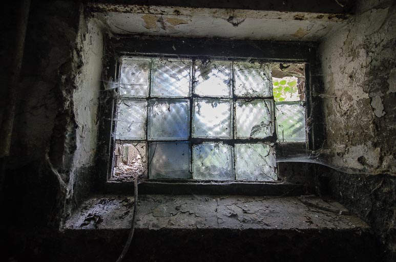 _D708005.jpg _D708005.jpg