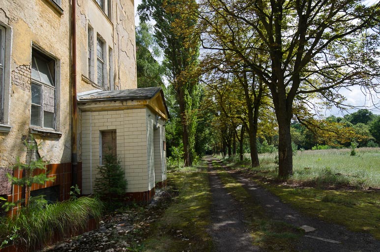 _D708009.jpg _D708009.jpg