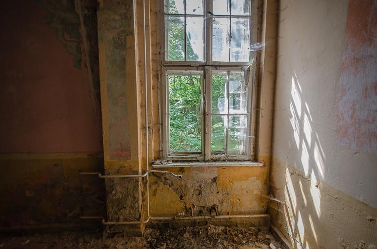 _D708036.jpg _D708036.jpg