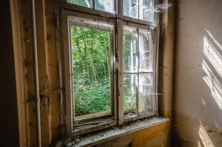 _D708038.jpg _D708038.jpg