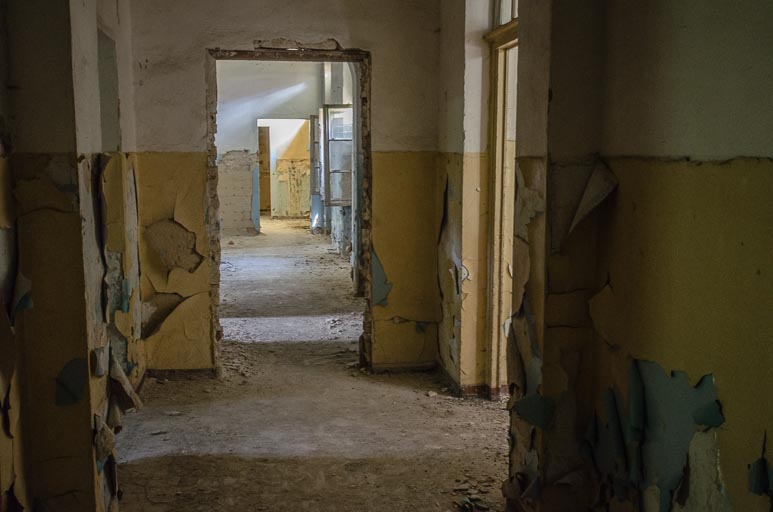 _D708080.jpg _D708080.jpg