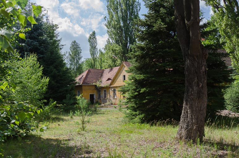 _D708119.jpg _D708119.jpg