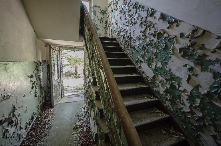 _D708127.jpg _D708127.jpg